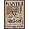 ABYSTYLE GBEye - ONE PIECE Poster Wanted Ace 52x38cm 