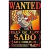 Générique poster one piece Sabo wanted 30 x 45 cm avec accroche murale - poster décoratif sur toile pour chambre, bureau, sal
