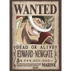 ABYSTYLE GBEye - ONE PIECE Poster Wanted Whitebeard 52x38cm 