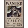 ABYSTYLE - One Piece - Poster Wanted Kaido 