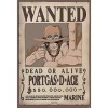 ABYSTYLE - ONE PIECE - Poster Wanted Ace 91.5x61 