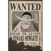 ABYstyle Abysse Corp_ABYDCO370 Poster One Piece Wanted Edward Newgate 52 x 35 cm 