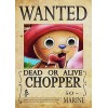 Poster One Piece Chopper Anime Manga Wanted