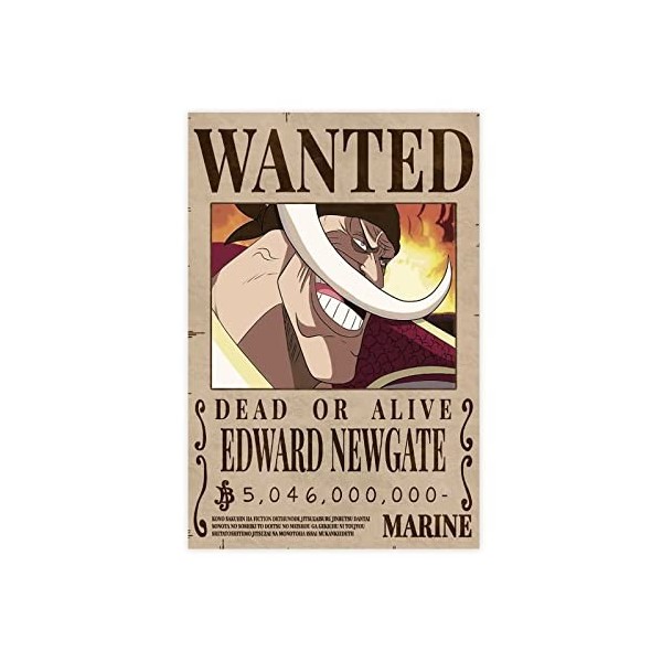 FUKITT One Piece Nico Robin Bounty Wanted Poster sur toile Poster Décoration de chambre à coucher Paysage sportif Bureau Déco