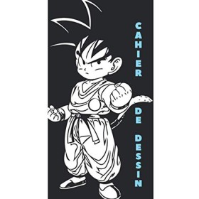 Cahier de dessin Manga: page blanche, grand format, Univers Manga, Japon.