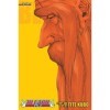Bleach 3-in-1 Edition , Vol. 20