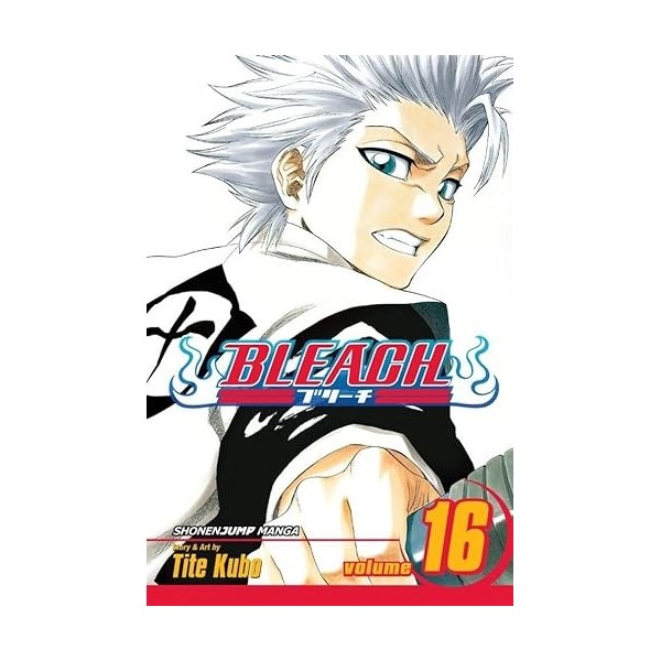 Bleach, Vol. 16: Knight of Wijnruit English Edition 
