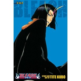 Bleach 3-in-1 Edition , Vol. 13