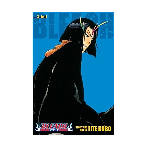 Bleach 3-in-1 Edition , Vol. 13