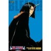 Bleach 3-in-1 Edition , Vol. 13