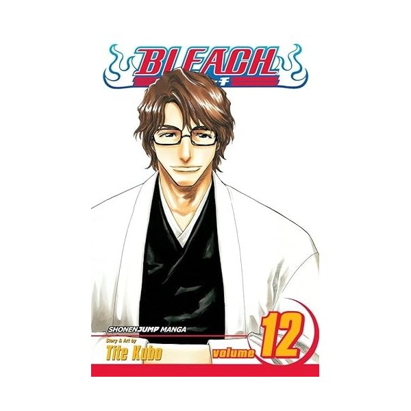 Bleach, Vol. 12: Flower on the Precipice English Edition 