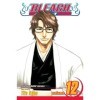 Bleach, Vol. 12: Flower on the Precipice English Edition 