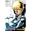 Bleach 3-in-1 Edition , Vol. 17