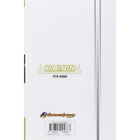 Bleach - Tome 61: The last 9 days