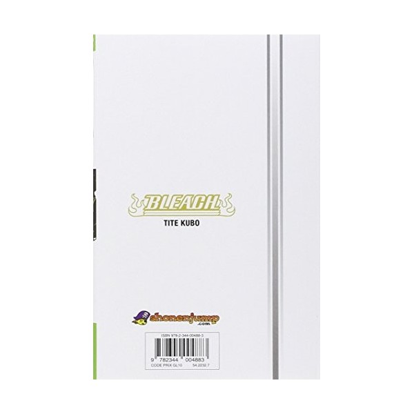 Bleach - Tome 61: The last 9 days