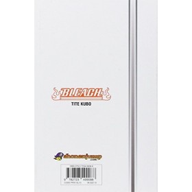 Bleach - Tome 58: The fire