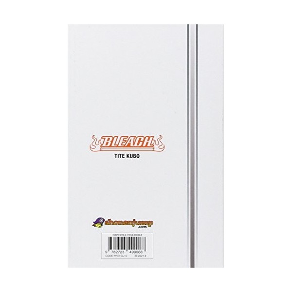 Bleach - Tome 58: The fire