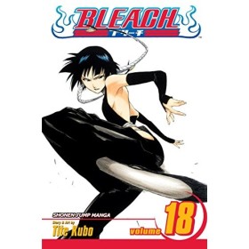 Bleach Volume 18