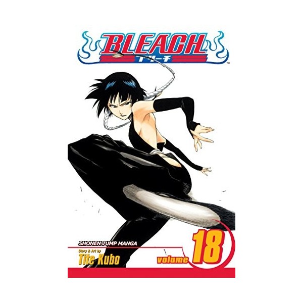 Bleach Volume 18
