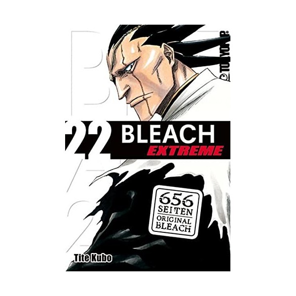 Bleach EXTREME 22