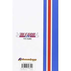 Bleach - Tome 10: Tattoo on the sky