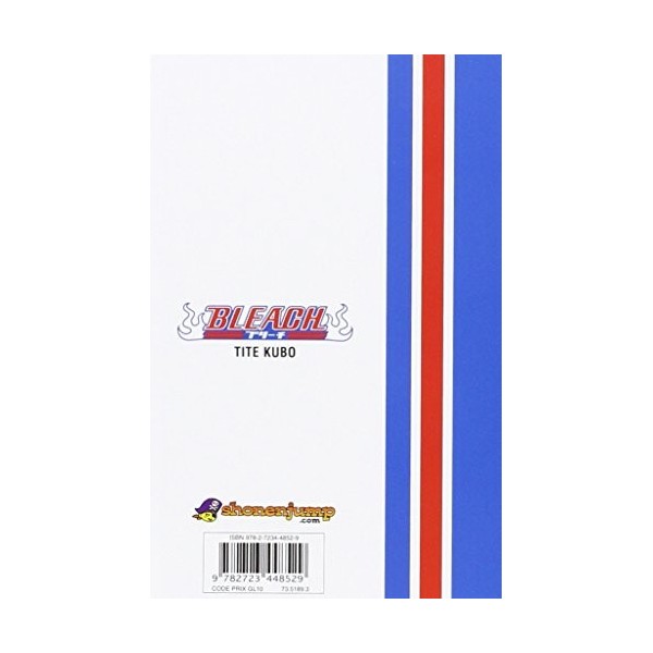 Bleach - Tome 10: Tattoo on the sky