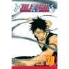 Bleach, Vol. 38: Fear for Fight English Edition 
