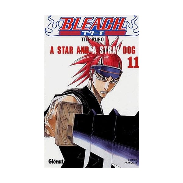Bleach - Tome 11: A star and a stray dog