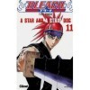 Bleach - Tome 11: A star and a stray dog