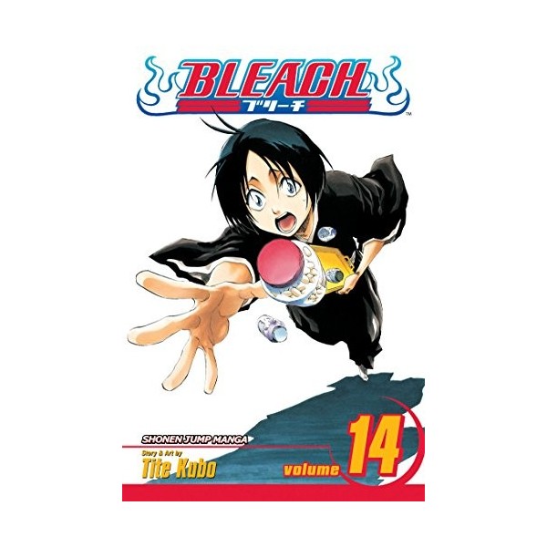 Bleach Volume 14