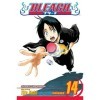 Bleach Volume 14