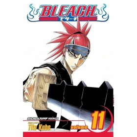Bleach, Vol. 11: A Star and a Stray Dog English Edition 