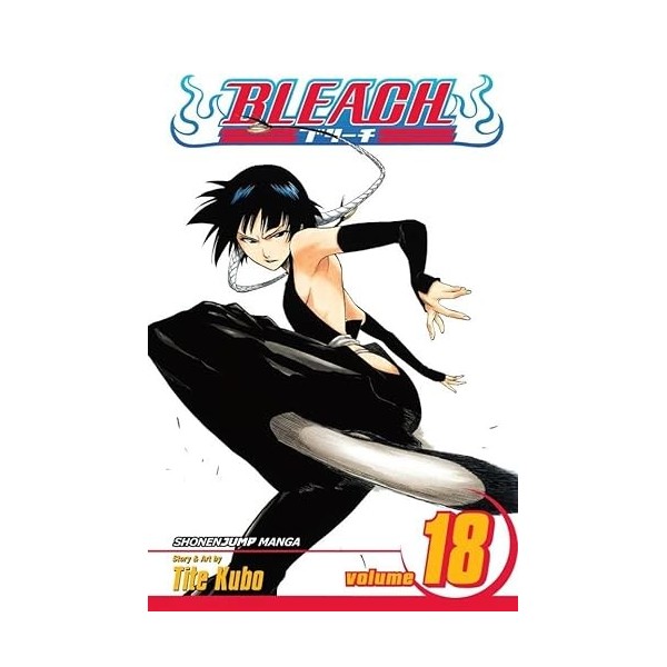 Bleach, Vol. 18: The Deathberry Returns English Edition 