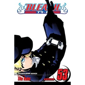Bleach Volume 53