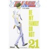 Bleach 21