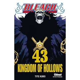 Bleach - Tome 43: Kingdom of hollows