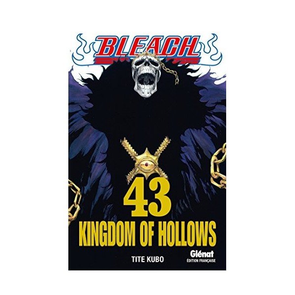 Bleach - Tome 43: Kingdom of hollows