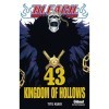 Bleach - Tome 43: Kingdom of hollows