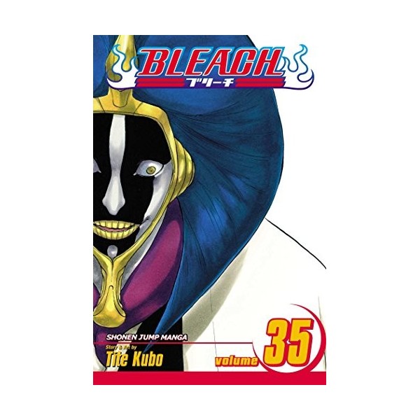Bleach Volume 35