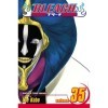 Bleach Volume 35