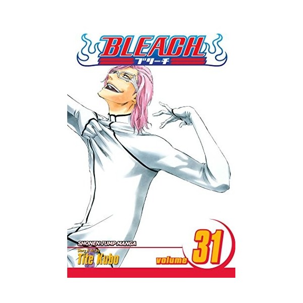 Bleach Volume 31