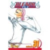 Bleach Volume 31