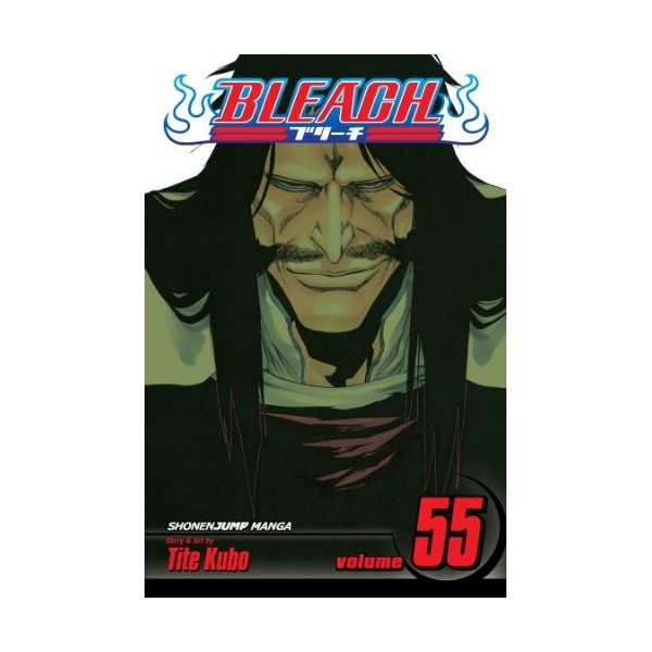 Bleach, Vol. 55: The Blood Warfare English Edition 