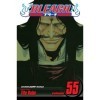 Bleach, Vol. 55: The Blood Warfare English Edition 