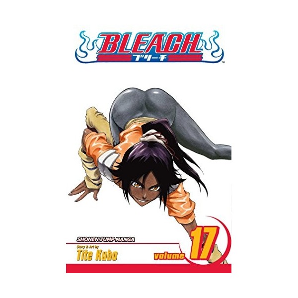 Bleach Volume 17