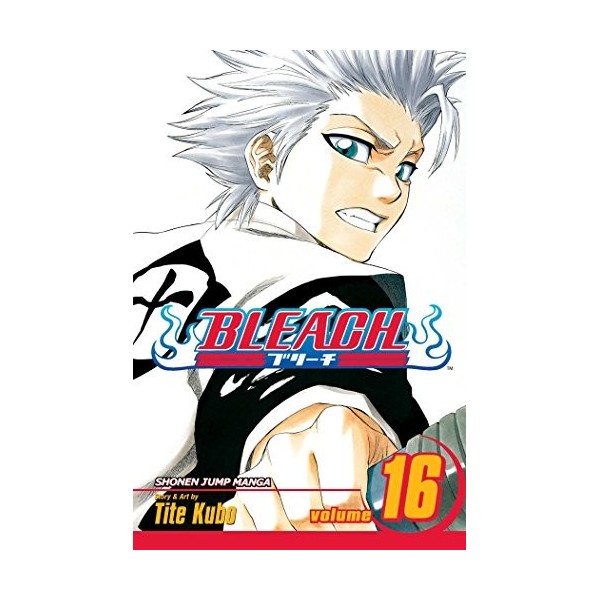 Bleach Volume 16