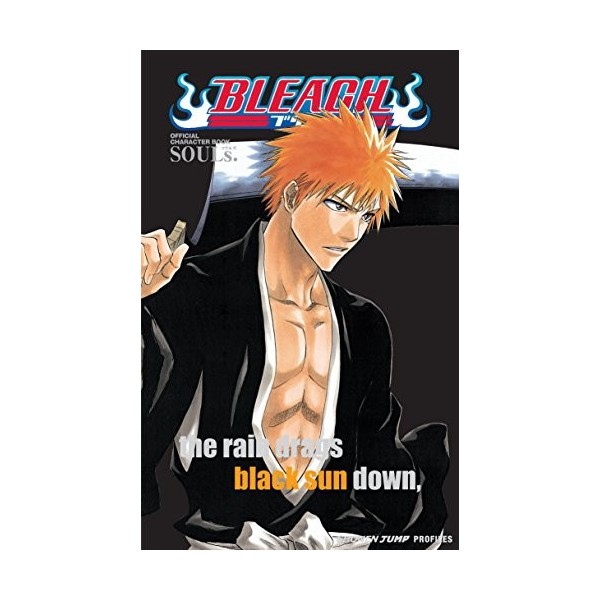 Bleach Official Character Book Volume 1: SOULs.