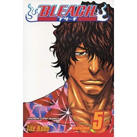 Bleach Volume 5
