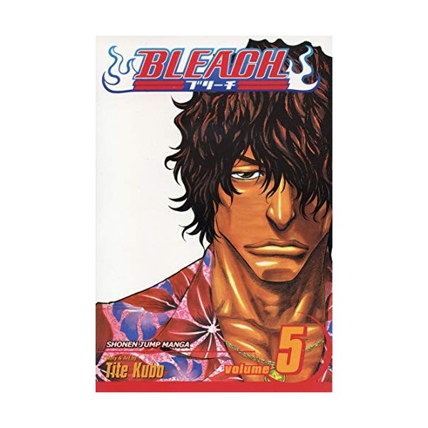 Bleach Volume 5