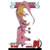 Bleach Volume 64